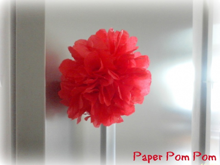 Tissue Paper Pom Poms