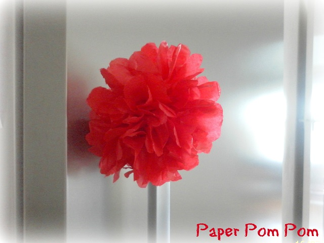 Tissue Paper Pom pom