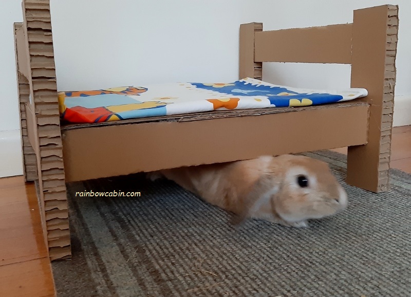 How to make a Cardboard Bunny Bed