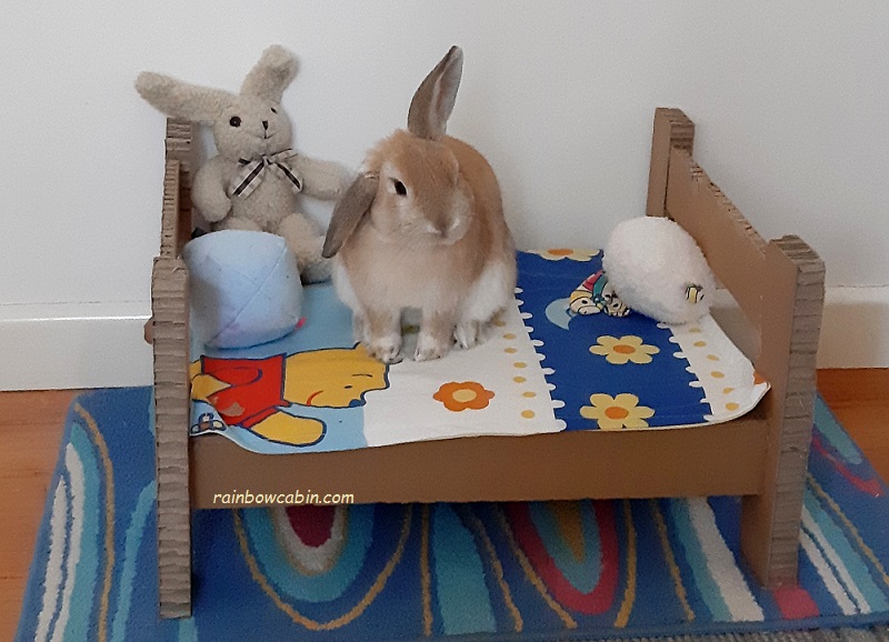 DIY Cardboard Bunny Bed