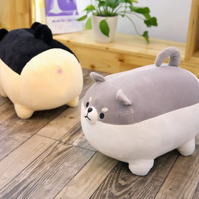 angry shiba plush