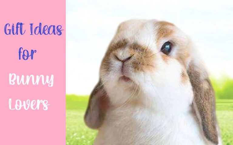Affordable Gifts Ideas for Bunny Lovers Rainbow Cabin