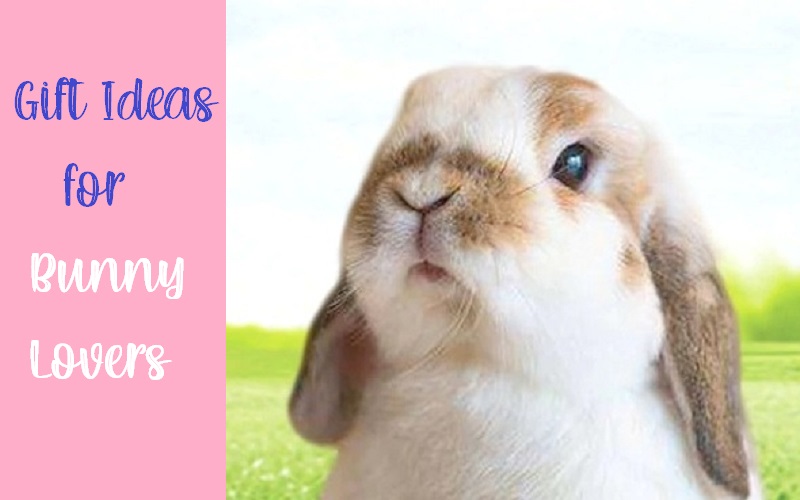 Best Affordable Rabbit Gifts
for A Bunny Lover