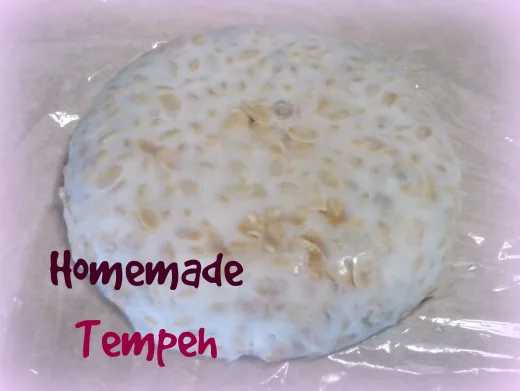 How to Make Your Own Tempeh Starter
