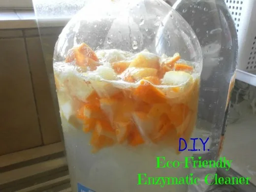 DIY Eco-Friendly Enzymatic Cleaner and Citrus Insect Spray