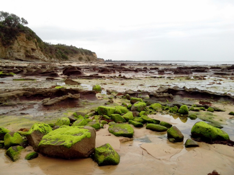 Leisure Things to Do in Inverloch, Victoria