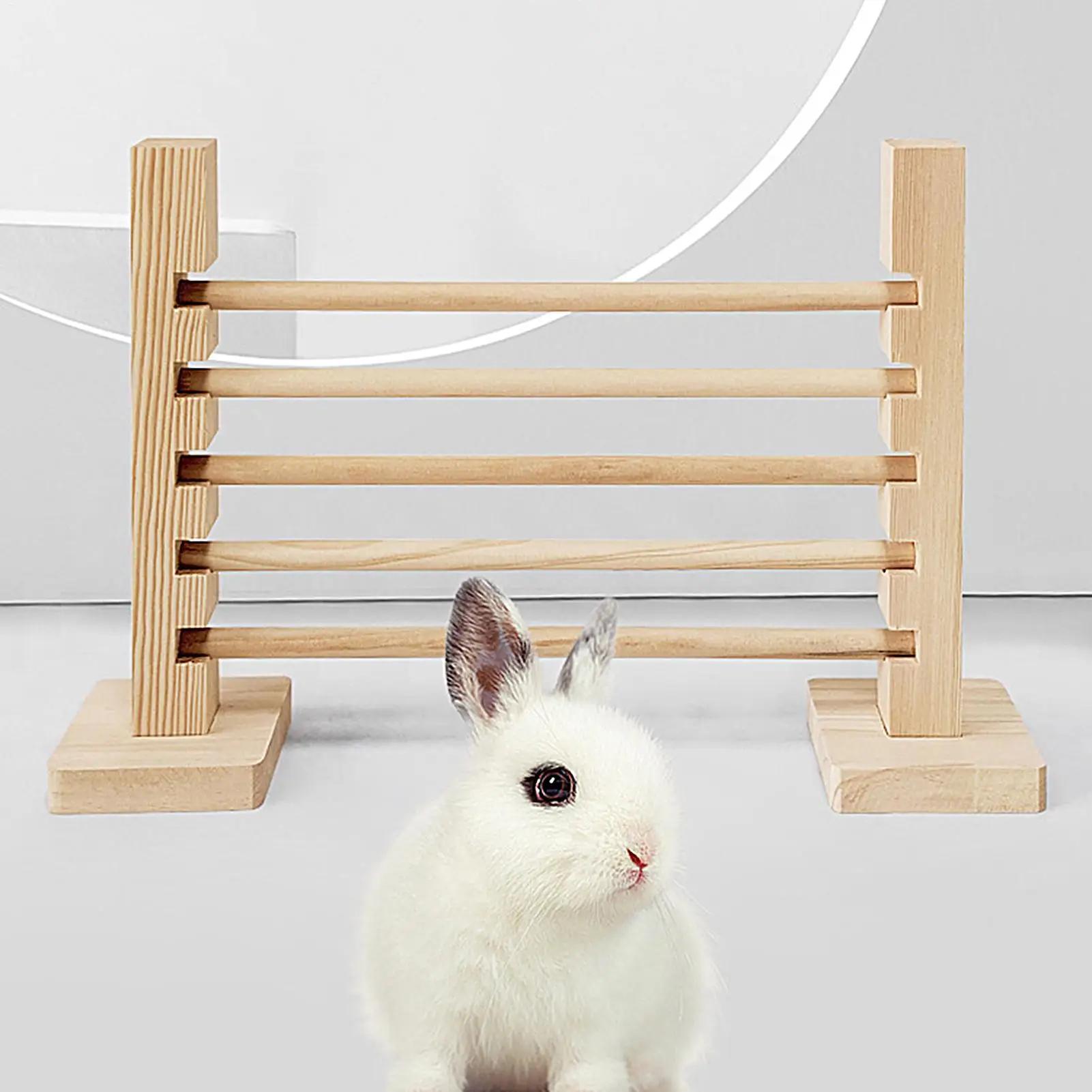 Pet Bunny Exercise Training Equipment Set