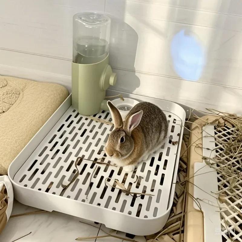 Bunny Litter Box Training Toilet
