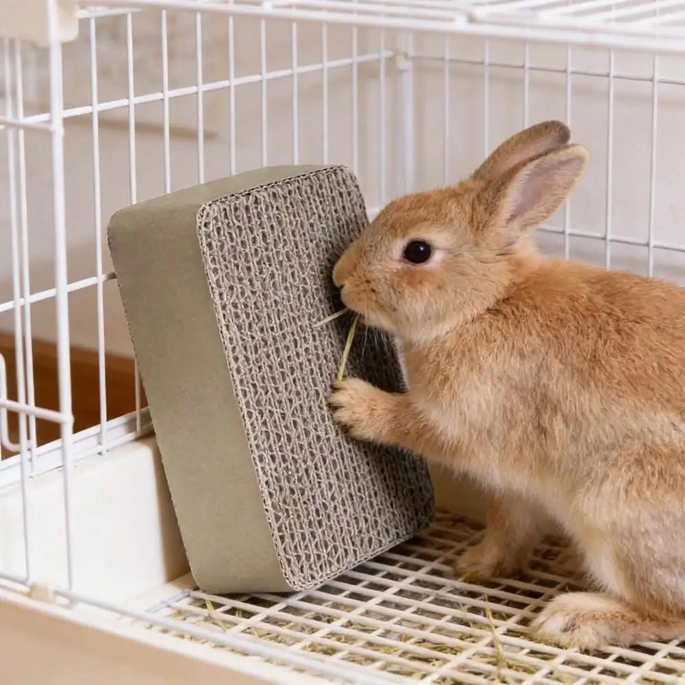 Pet Bunny Cardboard Scratch Toy